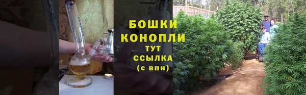гидропоника Белокуриха