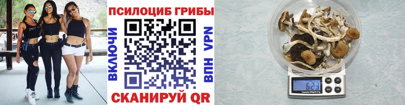 Купить  Ноябрьск  Псилоцибиновые грибы GOLDEN TEACHER 